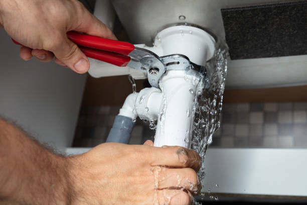 Best Basement water damage restoration  in Egan, LA