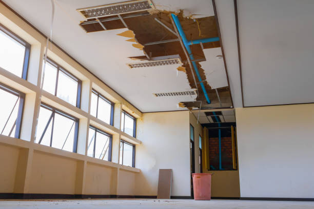 Best Mold removal after water damage  in Egan, LA