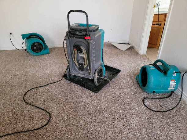 Best Carpet water damage restoration  in Egan, LA