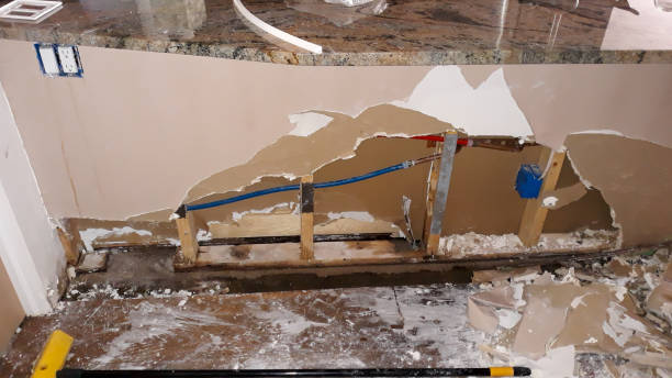 Best Flooded house restoration  in Egan, LA