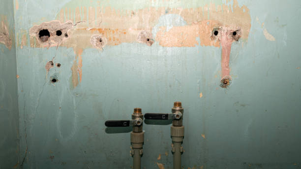 Best Water damage repair service  in Egan, LA